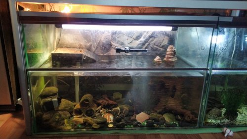 аквасы (3).jpg