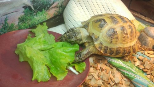 2019-11-24 20-50-50.JPG