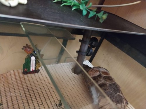 WhatsApp Image 2020-01-14 at 22.18.36.jpeg