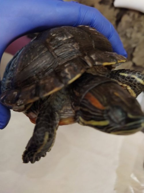 WhatsApp Image 2020-01-14 at 14.02.29.jpeg