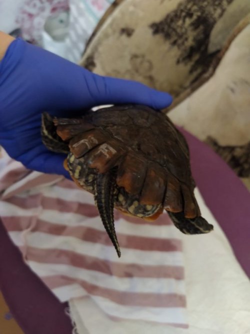 WhatsApp Image 2020-01-17 at 12.53.49.jpeg