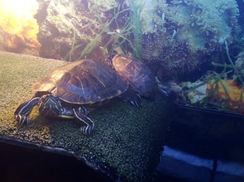 WhatsApp Image 2020-01-12 at 19.33.16.jpeg