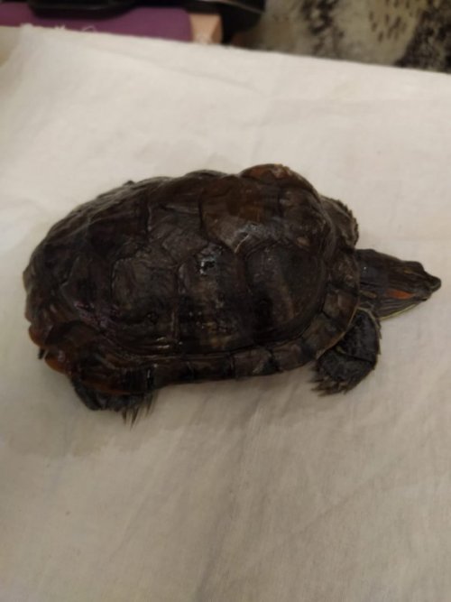 WhatsApp Image 2020-01-14 at 14.02.27.jpeg