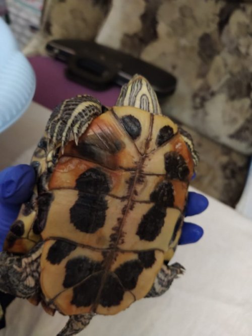 WhatsApp Image 2020-01-14 at 14.02.28 (1).jpeg