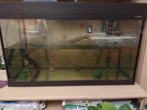 WhatsApp Image 2020-01-14 at 22.18.35.jpeg