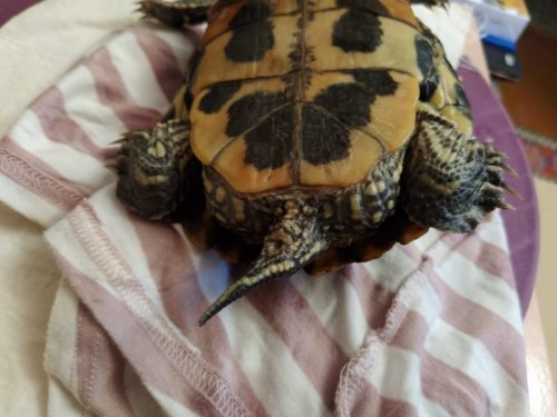 WhatsApp Image 2020-01-17 at 12.53.48.jpeg