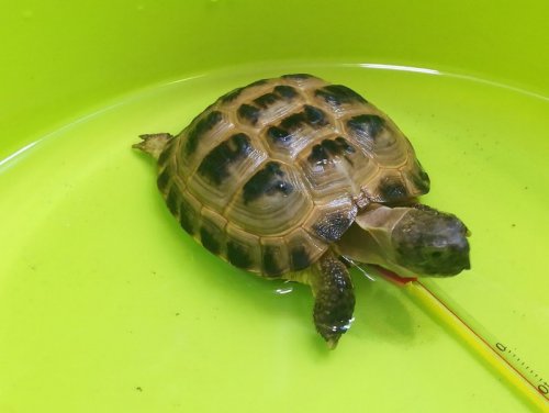 download (Копировать).jpg