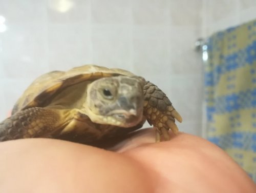 5 (Копировать).jpg