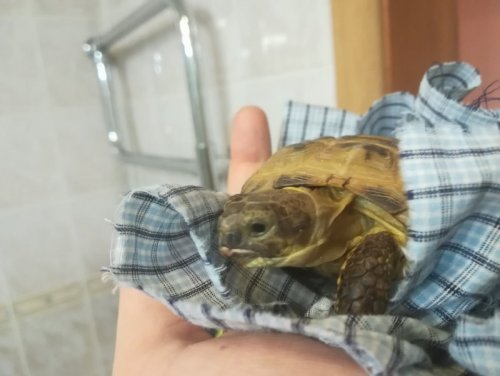 4 (Копировать).jpg