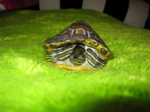 октябрь 020.JPG