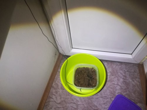 3 (Копировать).jpg