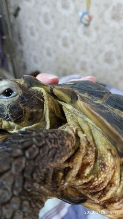 photo_2020-03-29_13-42-28 (2).jpg