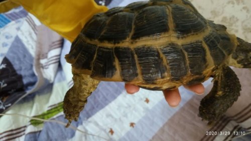 photo_2020-03-29_13-42-27 (2).jpg