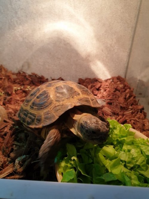 WhatsApp Image 2020-03-11 at 08.41.21 (2).jpeg