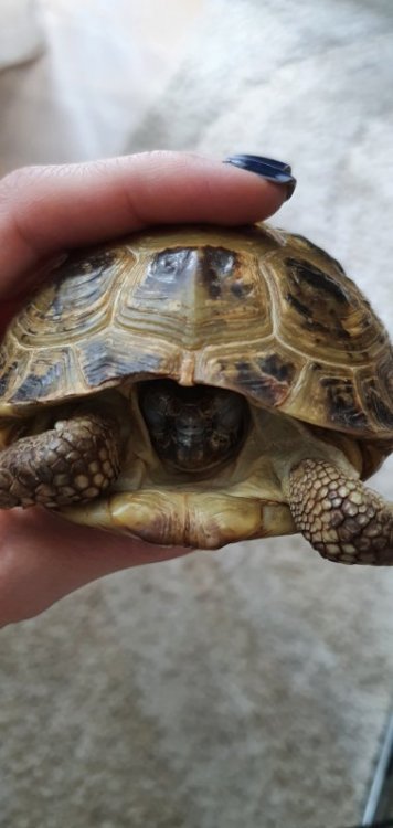 20200409_124305 (1).jpg