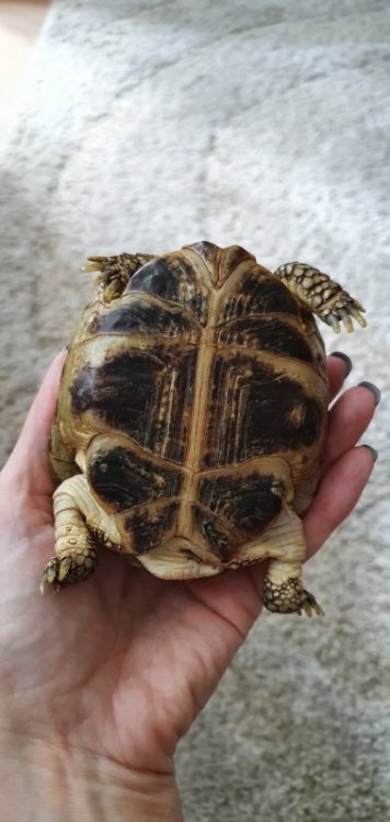 20200409_124252 (1).jpg