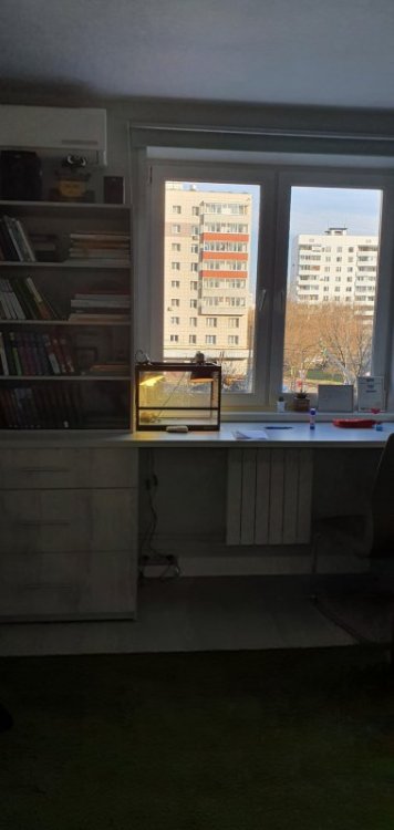 20200407_165820 (1).jpg