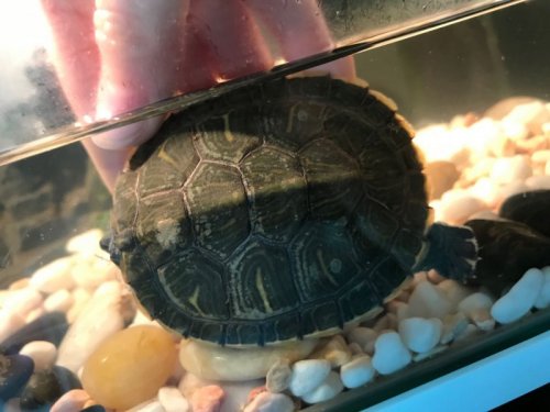 WeChat Image_20200524111404.jpg