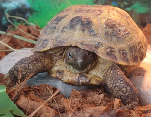 20200512_094742 cropped.jpg