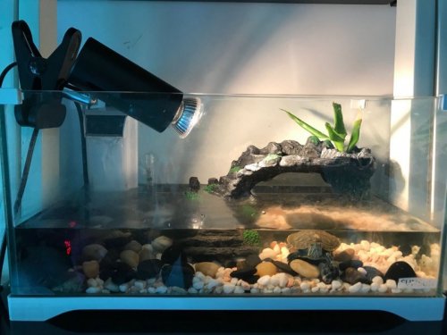 WeChat Image_20200524111331.jpg