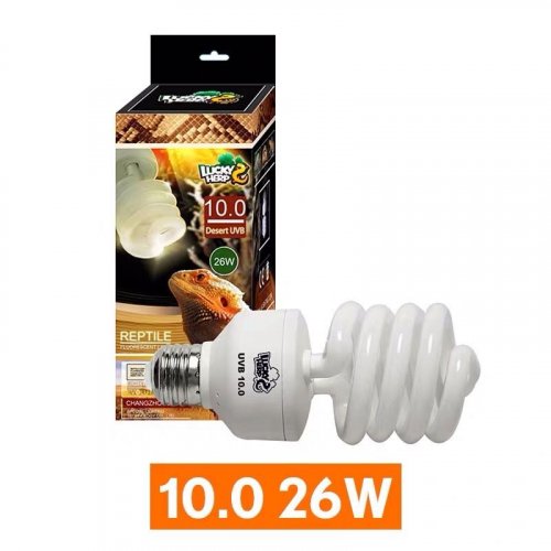 WeChat Image_20200524193752.jpg