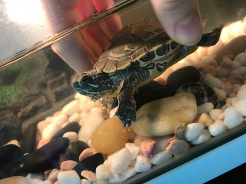 WeChat Image_20200524111357.jpg