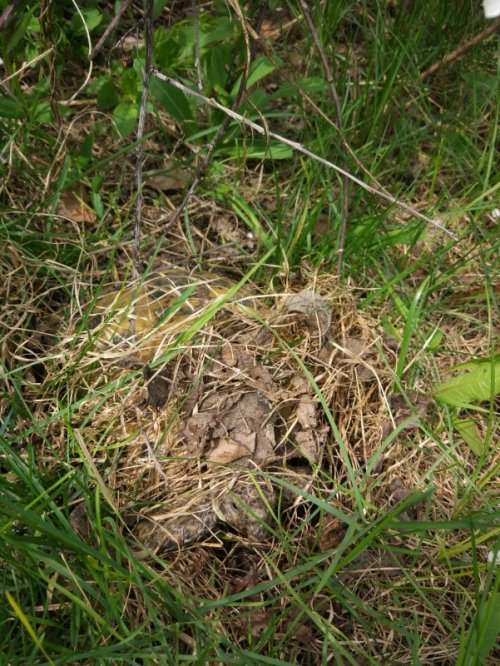 2020-05-11 13-37-20.JPG