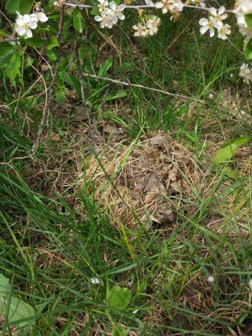 2020-05-11 13-37-16.JPG