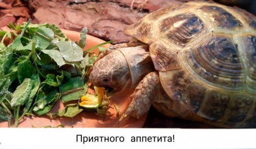 PicsArt_05-14-09.38.23.jpg