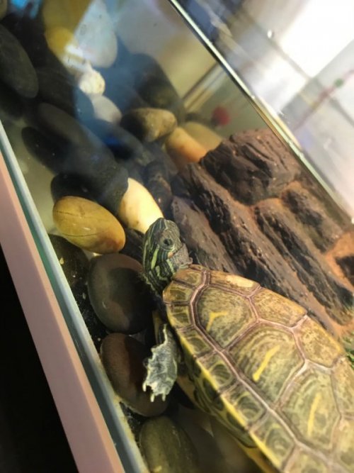 WeChat Image_20200605174636.jpg