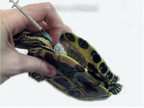 Снимок экрана 2020-06-04 в 15.32.40.png