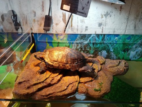 20200613_130643_HDR — копия.jpg