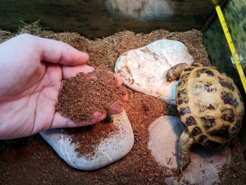 20200622_094047 — копия.jpg