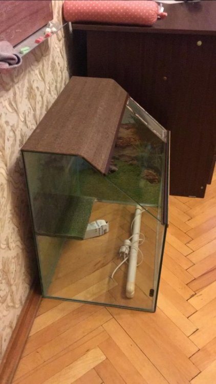 Аквариум 2.jpg