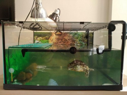 photo_2020-06-29_19-24-43 (2).jpg