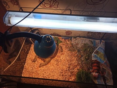 IMG_20200607_193109 (1).jpg