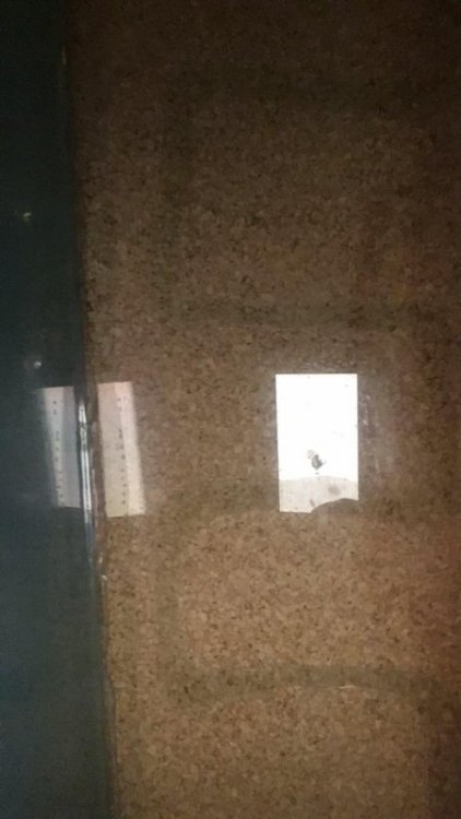 Аквариум 1.jpg