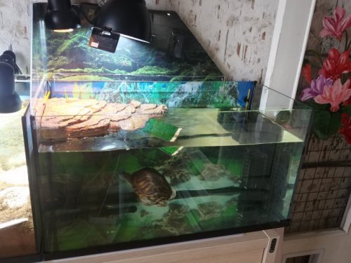 20200620_163422 — копия.jpg