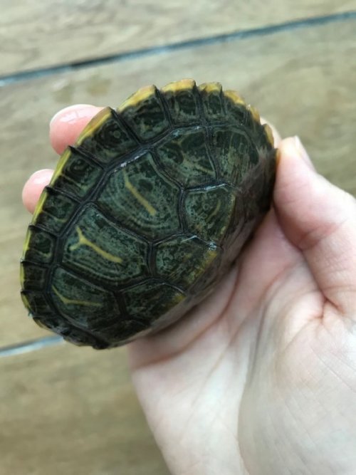 WeChat Image_20200605174641.jpg