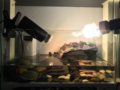 WeChat Image_20200605210914.jpg