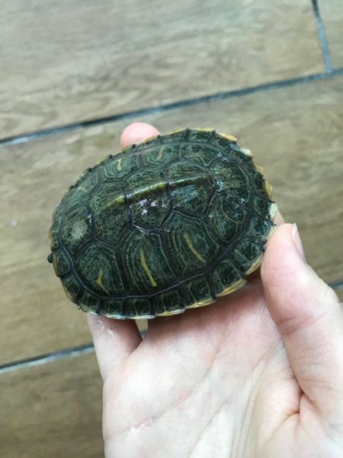 WeChat Image_20200605174646.jpg