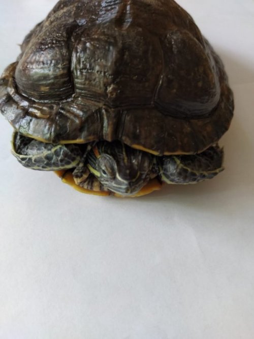 WhatsApp Image 2020-07-05 at 20.23.56.jpeg