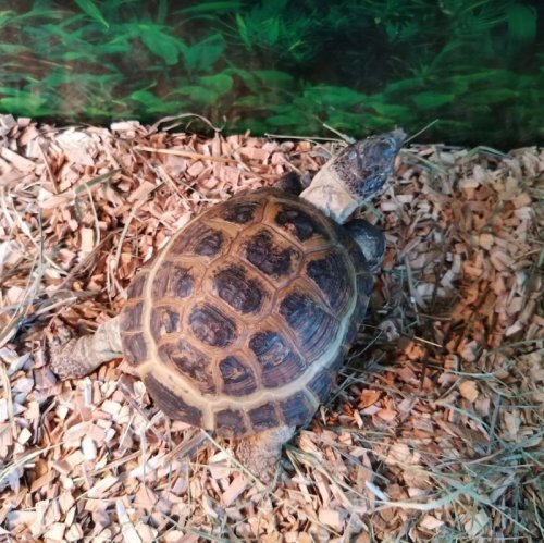 2020-07-16 17_19_57-Фотография - Google Фото.jpg