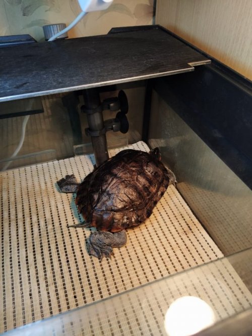 WhatsApp Image 2020-07-05 at 20.23.49.jpeg