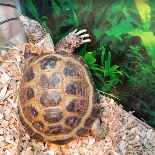 2020-07-16 17_20_17-Фотография - Google Фото.jpg