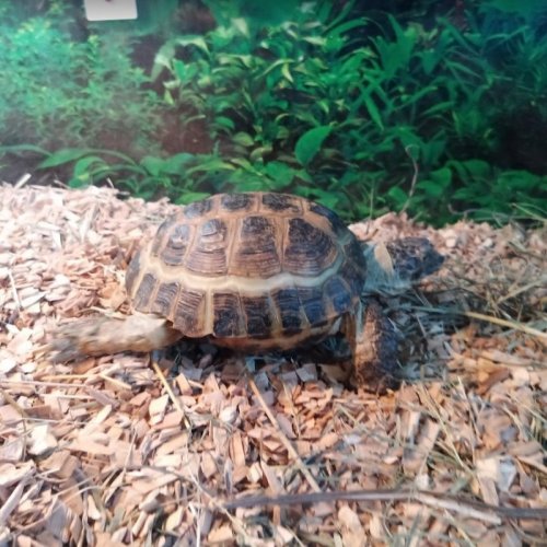 2020-07-16 17_20_07-Фотография - Google Фото.jpg