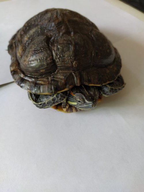 WhatsApp Image 2020-07-05 at 20.23.46.jpeg