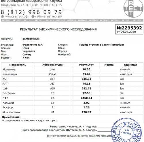 анализ крови.jpg