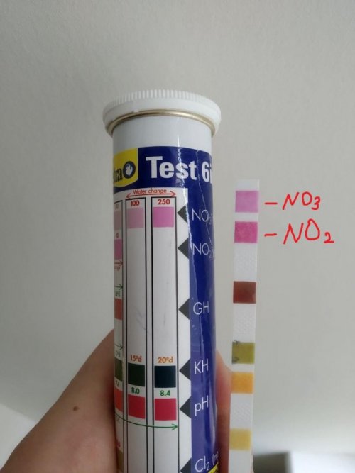 photo_2020-07-05_09-25-07 (2).jpg