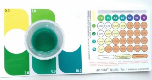 photo_2020-07-05_09-25-06 (2).jpg